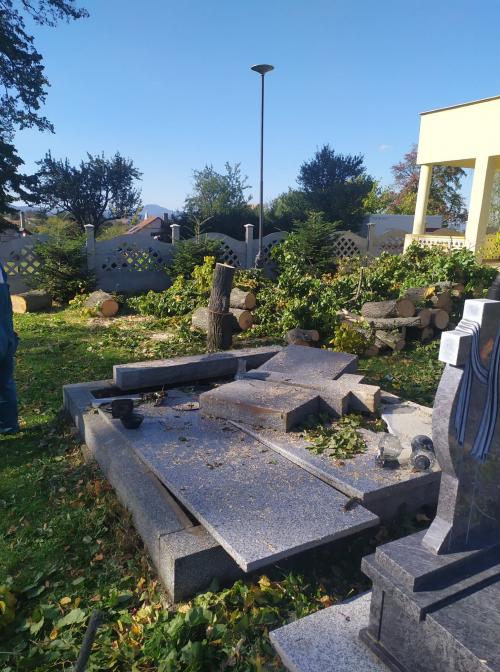 Spadnutá lipa v cintoríne po silnom vetre 30.9.2019